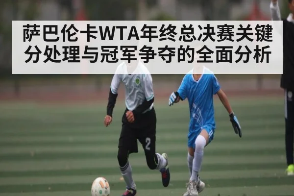 萨巴伦卡WTA年终总决赛关键分处理与冠军争夺的全面分析